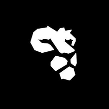 Sheryians Coding School logo